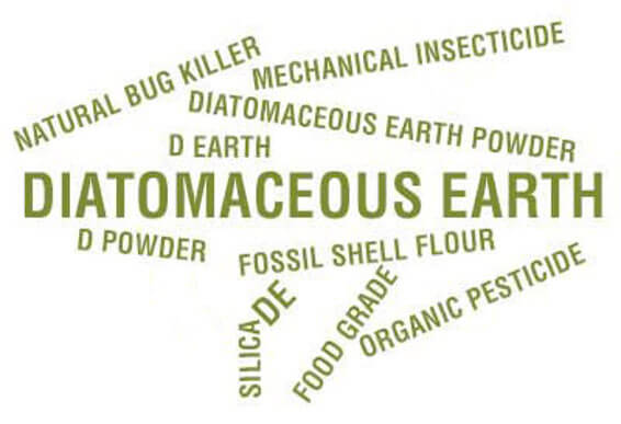 The Many Names of Diatomaceous Earth