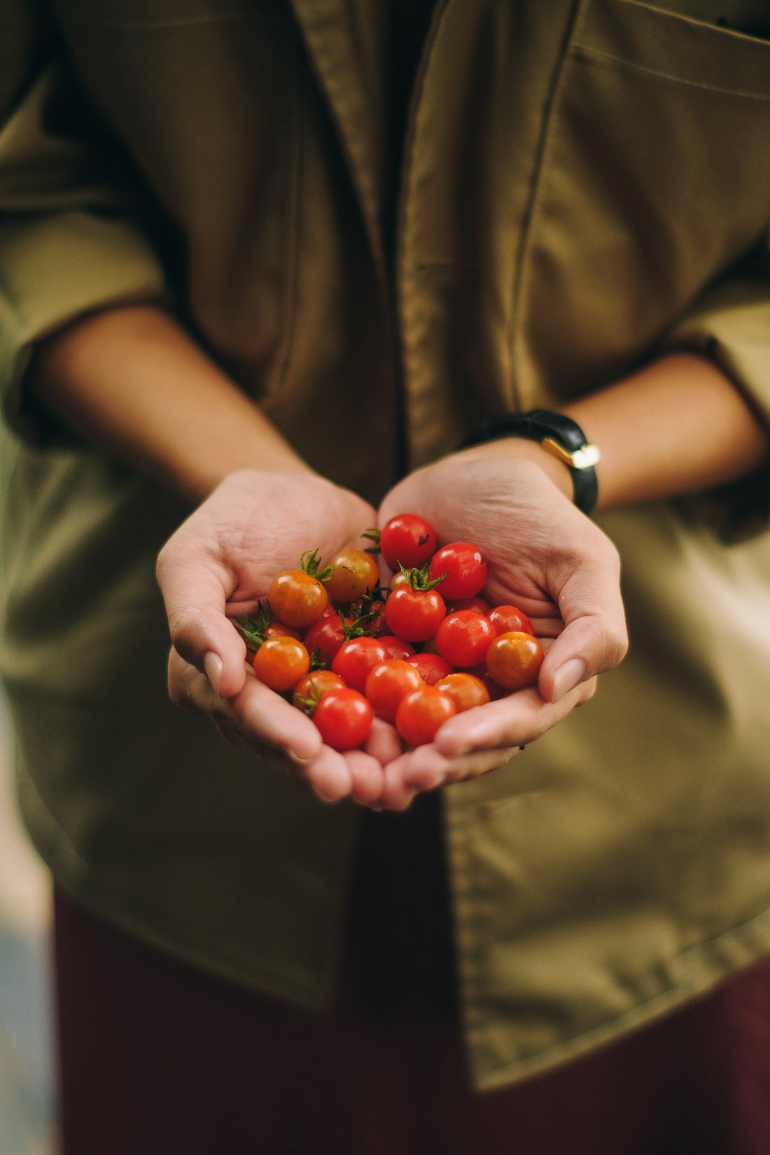 Top 10 Beginner Gardening Tips