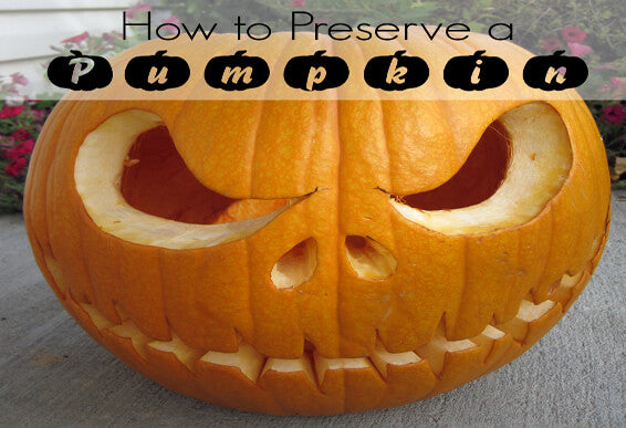 How to Preserve a Pumpkin